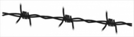 Barbed Wire